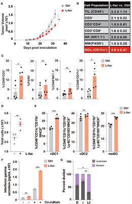 The functional role of L-fucose on dendritic cell function and polarization